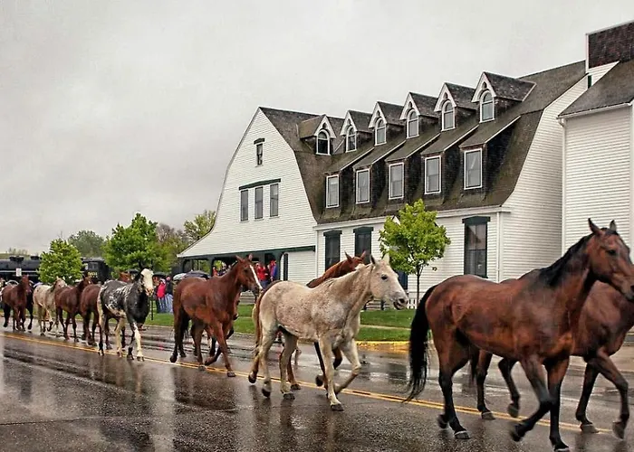 Cozy Perfect For A Romantic Escape With Bbq In Dayton, Wyoming